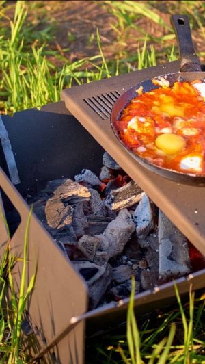 Мангал ТиРекс с сумкой и кочергой на сайте tenetilov.ru