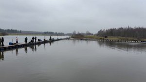 Пополнение акватории форелью !!!