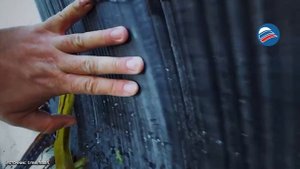 На берег Сахалина выбросило 12-метрового финвала