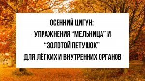 Цигун осени: укрепи лёгкие, кишечник и восстанови внутреннюю энергию
