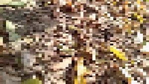 Окровавленное место порозило в шок😳