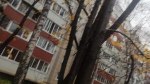 волшебник на улице дождь будет остановлен 4 ноября....