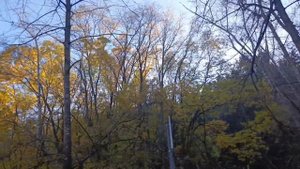 Дорога на Замок Коварства и Любви #Кисловодск 4.11.25.