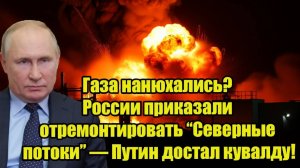 Газа нанюхались! России приказали отремонтировать Северные потоки  Путин достал кувалду!