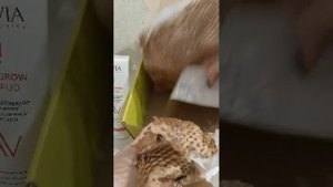 большая распаковка