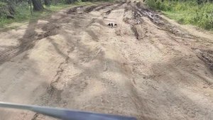 Дорога на мыс Хобой. Ольхон