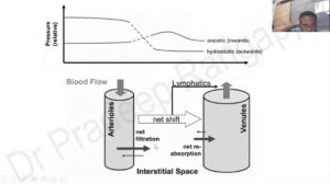 Glycocalyx and fluid leakage  Dr. Pradeep Rangappa 2020