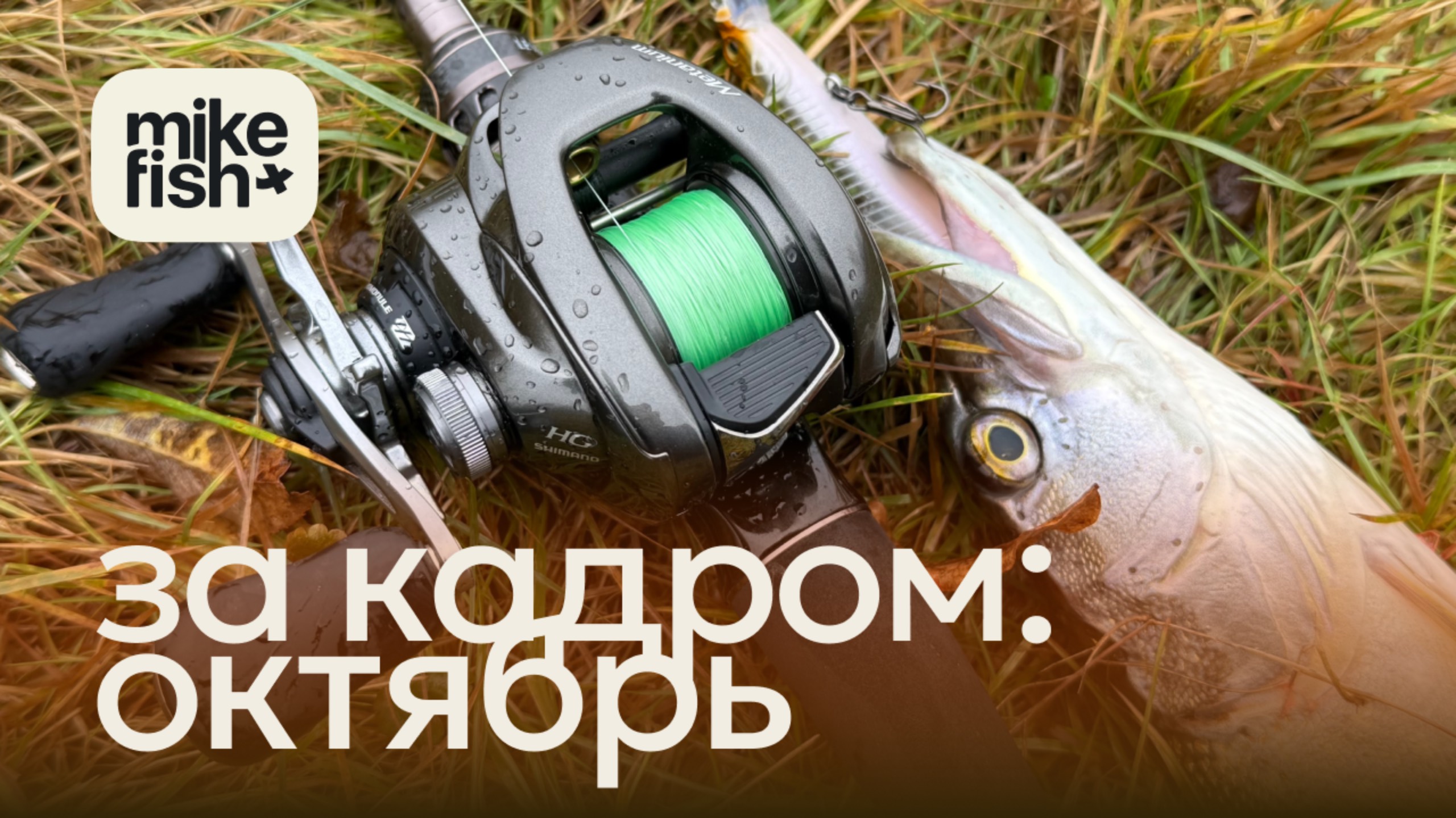 За кадром: рыбалка в октябре 2025