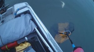 Рыбалка Чулым 3 ноября 2025 год