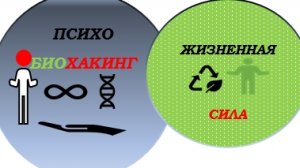 Курс ЖИЗНЕННАЯ СИЛА для начинающих