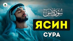 Ясин. Красивое чтение Корана.
