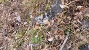 Сбрасываю камни с горы