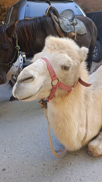 ой, мама, кто это? 😄