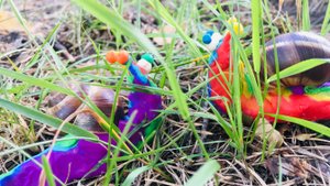 Занятие на тему  смешанной реальности в мультипликации на примере оживления стиха "Радужные улитки"