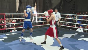 В Анапе подвели итоги Всероссийского турнира по боксу