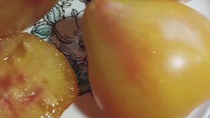 Минусинские сорта томатов. г. Киров