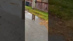 ноябриская прогулка