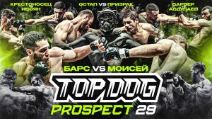 TOP DOG: PROSPECT 29, г. Орёл | Моисей VS Барс, Остап VS Призрак
