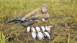 ЭТО БЫЛО ЧТО ТО, ОГРОМНЫЕ СТАИ СЕВЕРНОЙ УТКИ У БЕРЕГА И Я ТУТ. НАСТРЕЛЯЛ РЮКЗАК ПТИЦЫ С ПОДХОДА.