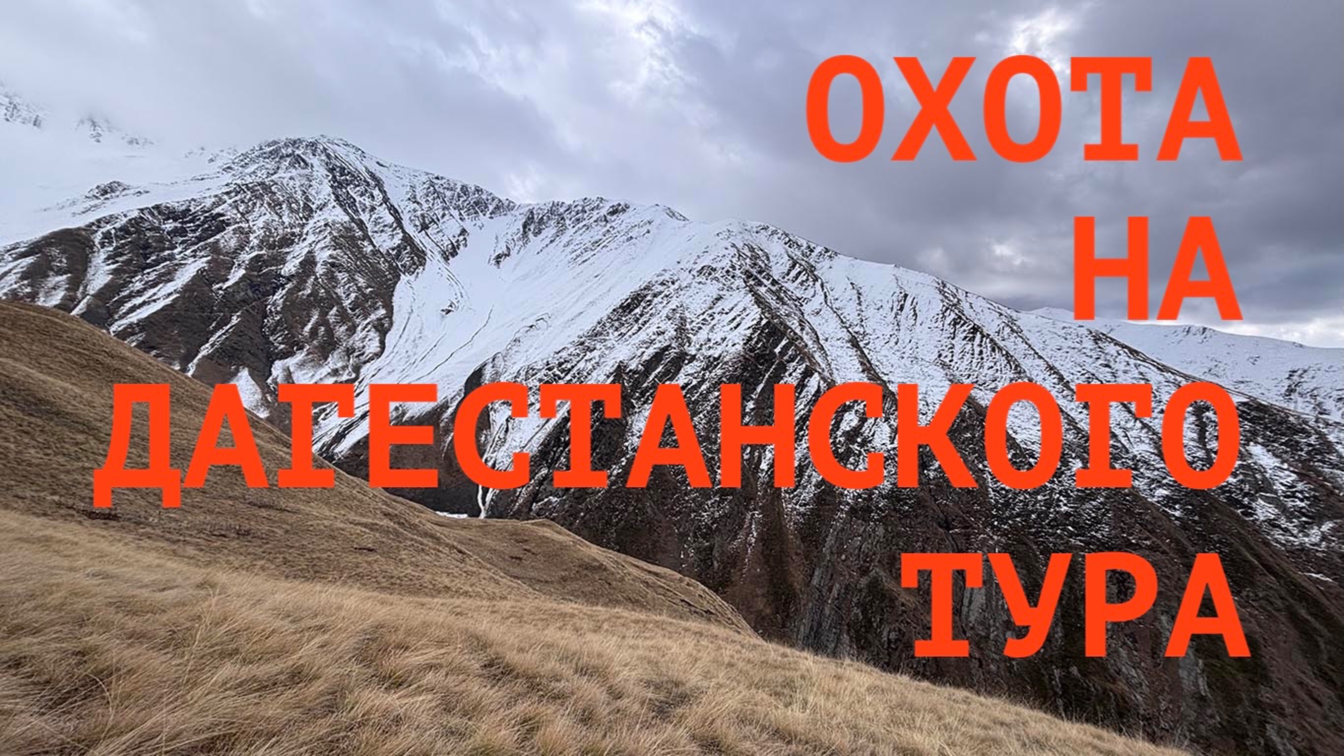 Охота на дагестанского тура
