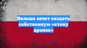 Польша хочет создать собственную «стену дронов»