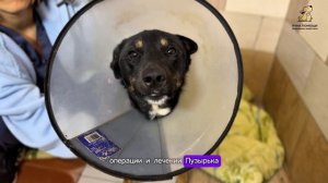 Благодарим за помощь в октябре!