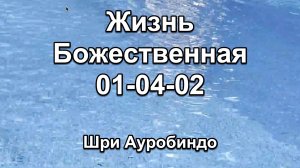 Книга Жизнь Божественная 01-04-02 (Шри Ауробиндо)