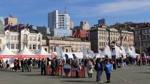 День народного единства, фрагмент . 04.11. 2025. Владивосток