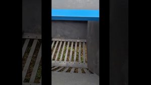 Камнеуборочная машина Чемпион      stone picker