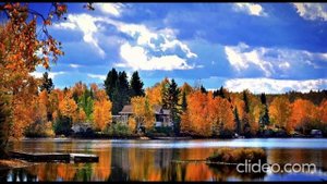 НЕБО ОСЕНИ Стихи:Лариса Малюшицкая Музыка,аранжировка,исполнение: Александр Волченко@