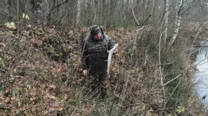 Спиннинг.02.11.2025 год.