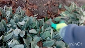 ✅мой понедельник на даче,и поработала и поела..., 03.10.25