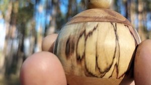 Шкатулка в ноябрьском лесу