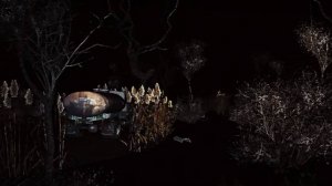 STALKER ambience | Ночной Янтарь