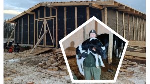 Начало истории 4 серия-Ферма. Открытие коровника и прибавление теленка.