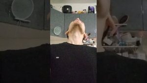 Марафон 40 день