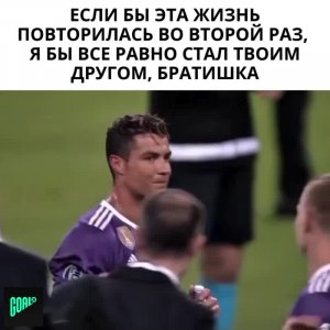 💎  https://kamennyi-zver.ru  💎✅