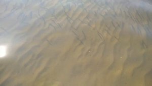 Немного вам счастливых моментов. Поздравляю вас с праздником. Просто много позитива в вашу жизнь.