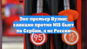 Экс-премьер Вулин: санкции против NIS бьют по Сербии, а не России