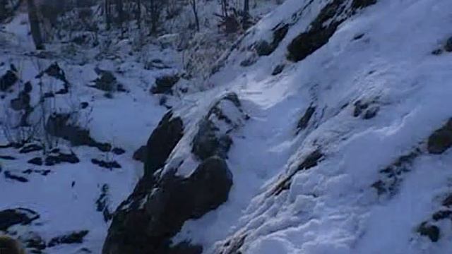 поедка на алтай 2008 январь