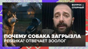 В Подмосковье собака загрызла младенца: мнение зоолога | Вопрос спорный — Москва 24 | Контент