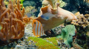 Дизайн без названия (21)