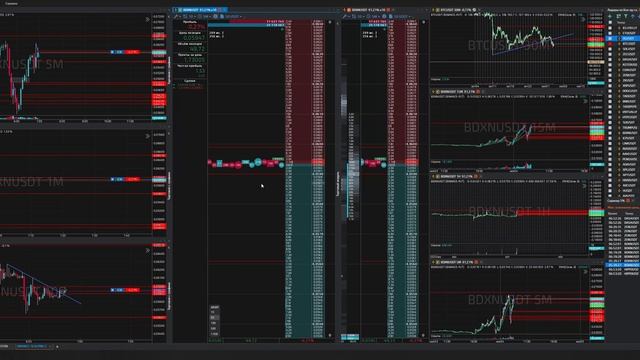 9-Bdxnusdt-Long-Profit-04-11-2025-06-58-15