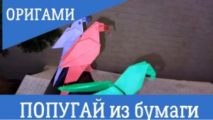 Оригами. Как сделать попугая из бумаги