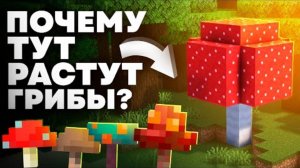 ОТКУДА ГРИБЫ В ТЁМНОМ ЛЕСУ Майнкрафт
