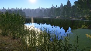 Сегодня пойдём за крупной плотвой