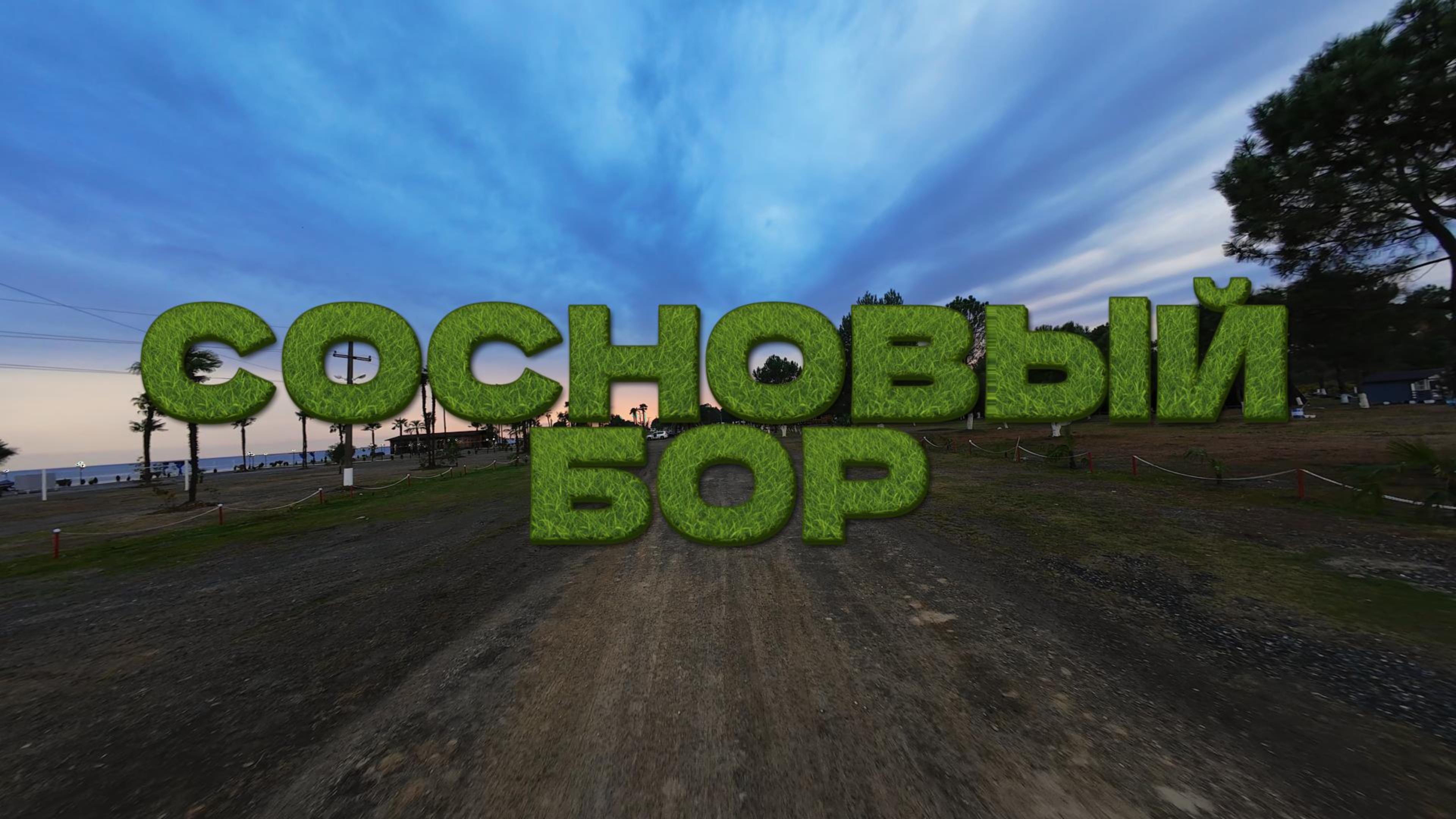 Сосновый бор