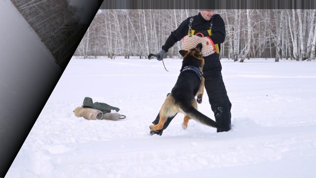 Вирджи Из Тигровой Династии. Тренировка по защите  СБ "Саратово"