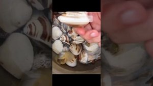 Закулисье «Острова сокровищ» — то, что не показали