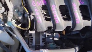 WhatsApp Video 2025-11-04 at 15.24.23